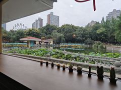 -绵阳人民公园(涪城区)