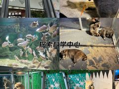 -常州海昌海洋探索馆