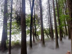 -东湖落雁景区