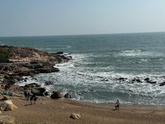 -广东惠东海龟国家级自然保护区