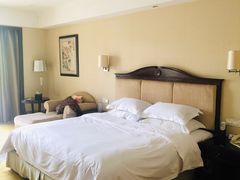 -重庆长寿碧桂园凤悦凤凰酒店