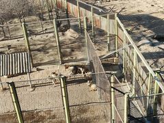 -青藏高原野生动物园