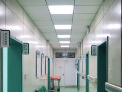 -北京观赏动物医院·24小时大型综合·猫专科·异宠专科
