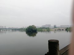-眉山湿地公园(东坡区)
