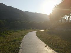 -风云岭森林公园