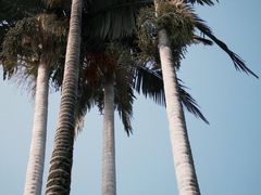 -成都动物园