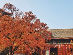 -香山公园