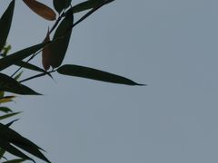 -龍歌自助小火锅(城阳万象汇店)