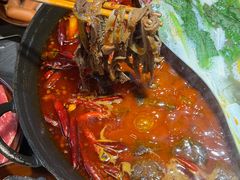 -阳阳老火锅(小南门店)