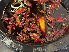 -重庆川渝肥妹火锅