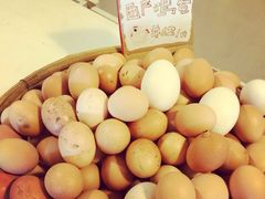 iphone_upload_pic-大连北马山庄