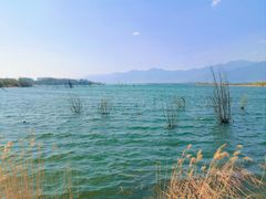 -野鸭湖国家湿地公园