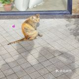 【武汉】——每天不一样🌸（下）