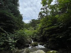 -龙窝子