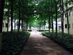 -北京国家会计学院