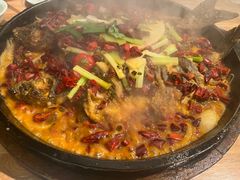 老板恋上鱼-老板恋上鱼(高新万达店)