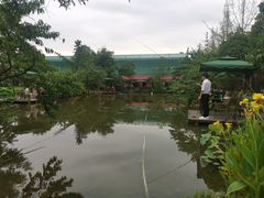 -洪湖家庭农场·团建·露营·会议