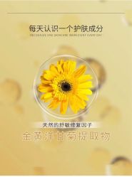 -玛莲朵·海菲秀冰珀科