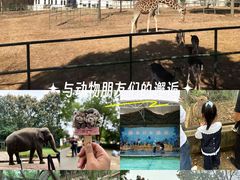 -合肥野生动物园