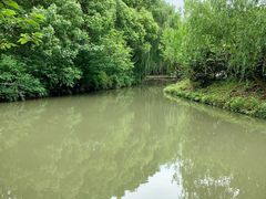 -同里国家湿地公园