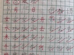 -赵汝飞练字硬笔书法(静安大融城校区)