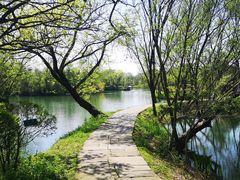 -西溪国家湿地公园