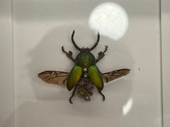 -中国湿地博物馆