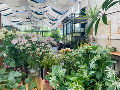 -北马山庄植趣咖啡