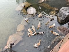 -上海怡沁园度假酒店
