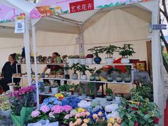 -太阳宫公园