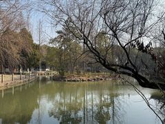 -瀛洲公园