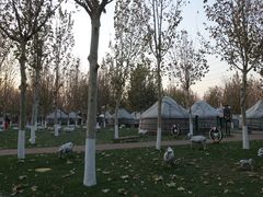 -九十九顶毡房(阜石路店)