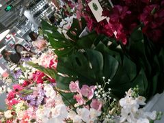 -宜家家居(哈尔滨商场店)