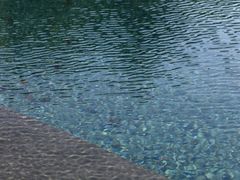 -宁海安岚·南溪阁全日餐厅
