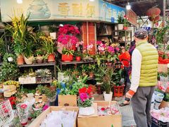 -溪岸路花鸟市场