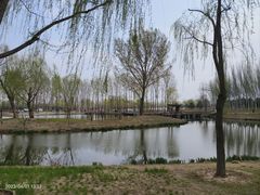 -东郊湿地公园