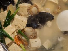 扇贝肉炖豆腐-龙香居海鲜浑锅家常菜·特色驴肉