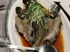 -强记海鲜·大排档(蛇口新街店)