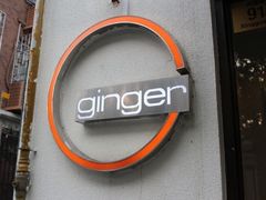 Ginger&nbsp;by&nbsp;the&nbsp;park-Ginger(兴国路店)