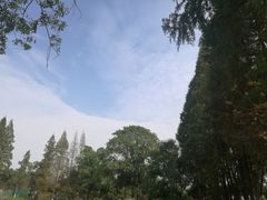 -习家池