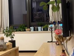 -八号公馆·老上海SPA(深圳北站店)