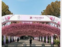 -南汇桃花村