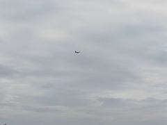 -空港花田景区