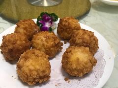-丁老爷子苏香圆