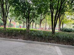 -中山公园