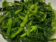 空心菜-壹盏灯(惠农店)