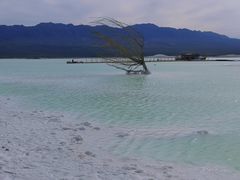 -盐湖景区