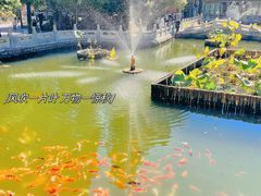 -八大处公园