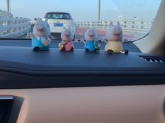 -星海湾跨海大桥