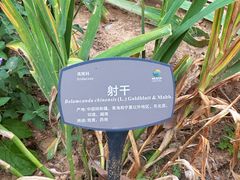 -国家植物园南园